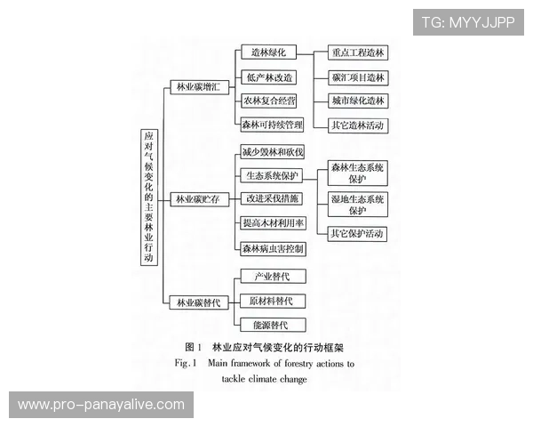 世界杯乌拉圭vs西班牙伤病动态及其对比赛走势的潜在影响分析