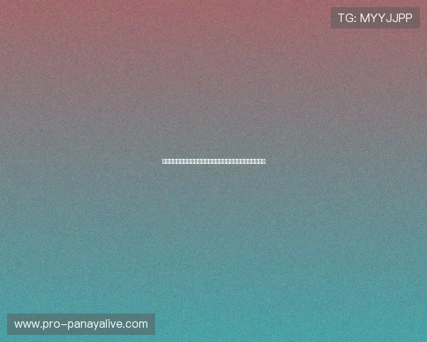 世界杯赛场上沙特对乌拉圭比赛中球迷围巾的流行趋势与购买指南