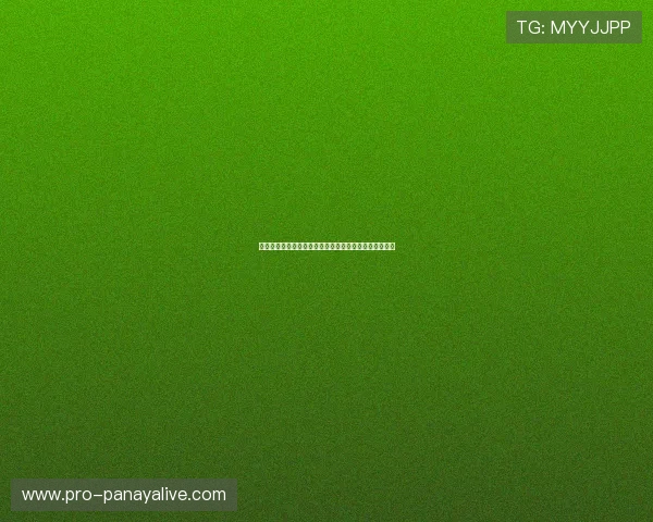 沙特队与西班牙队在世界杯赛场上的经验对比与战术分析 沙特队与西班牙队在世界杯赛场上的经验对比与战术分析